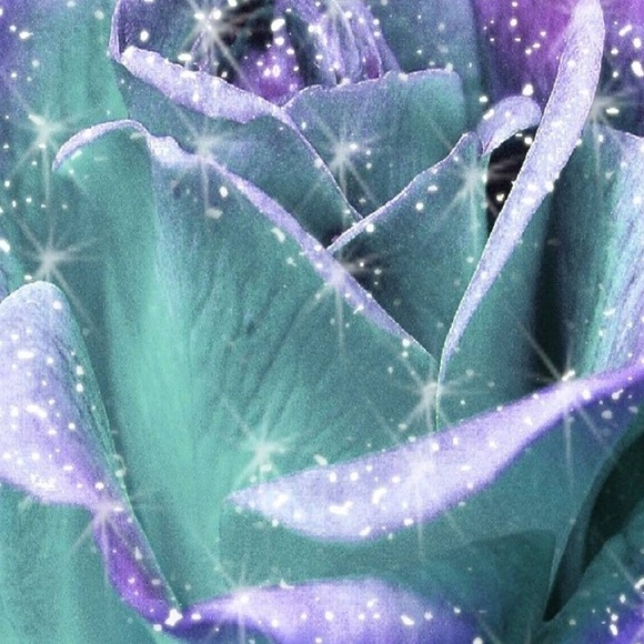 Meet your Posher, Kara - Picture 1 of 1